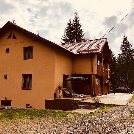 Cabana Cory Râușor Rîu de Mori Exterior foto