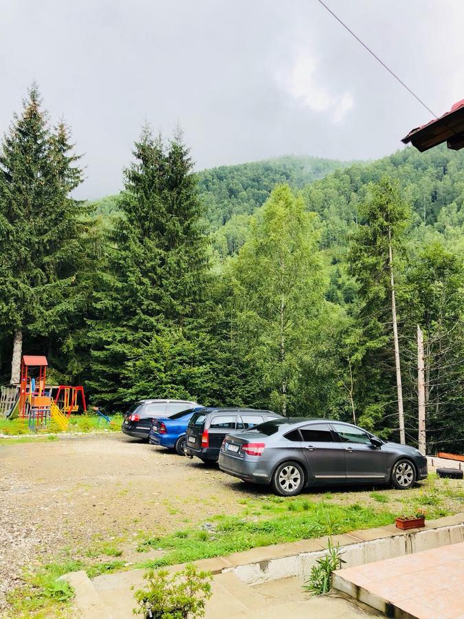 Cabana Cory Râușor Rîu de Mori Exterior foto